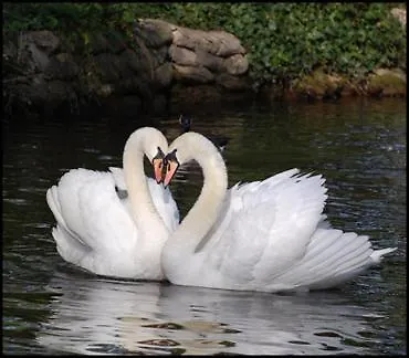 Residenz באד ברטריך