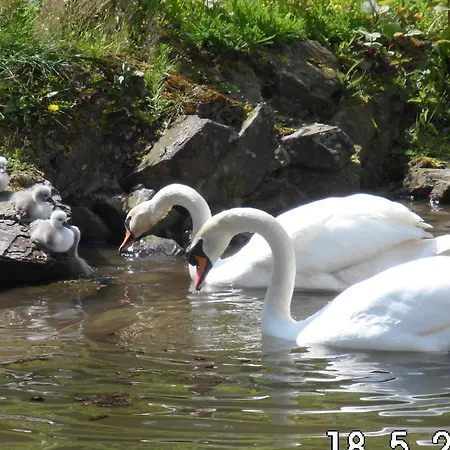 ホテル Residenz バート・ベルトリッヒ